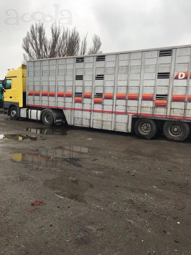 Авто для перевозки животных. Скотовоз